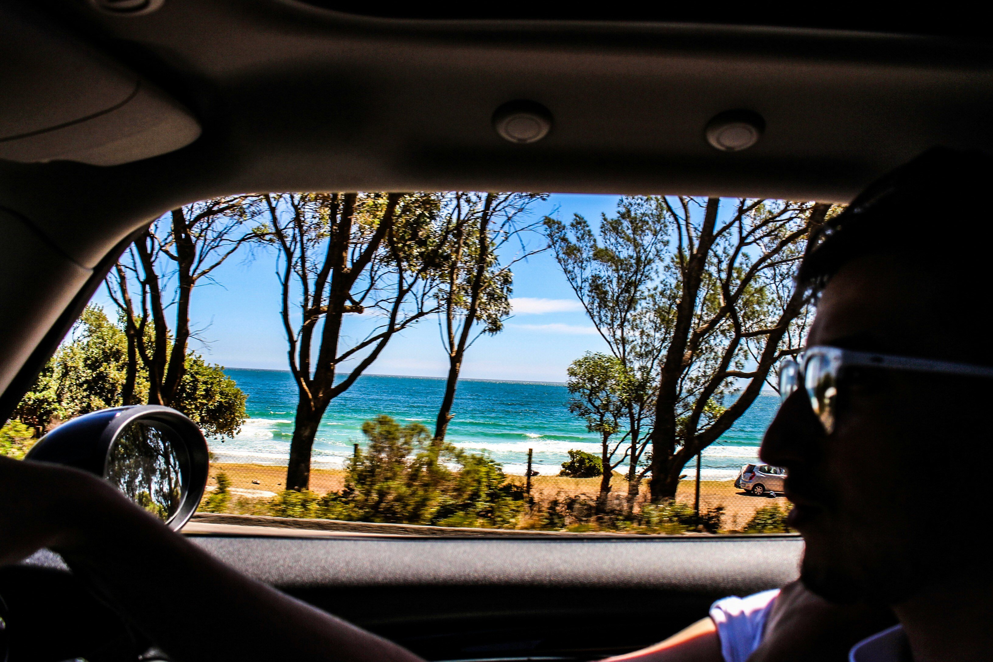 Person driving past a beach and trees